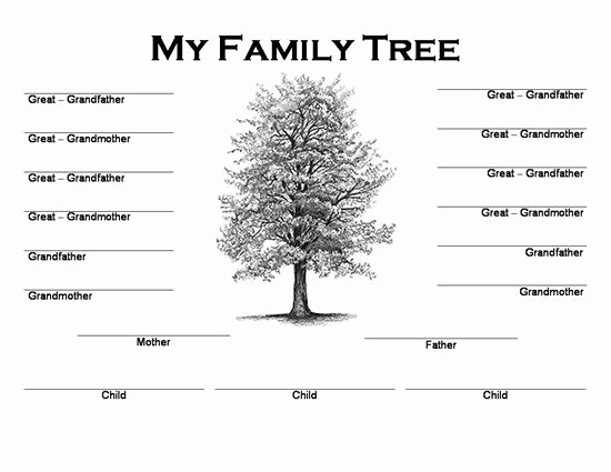 free online family tree maker